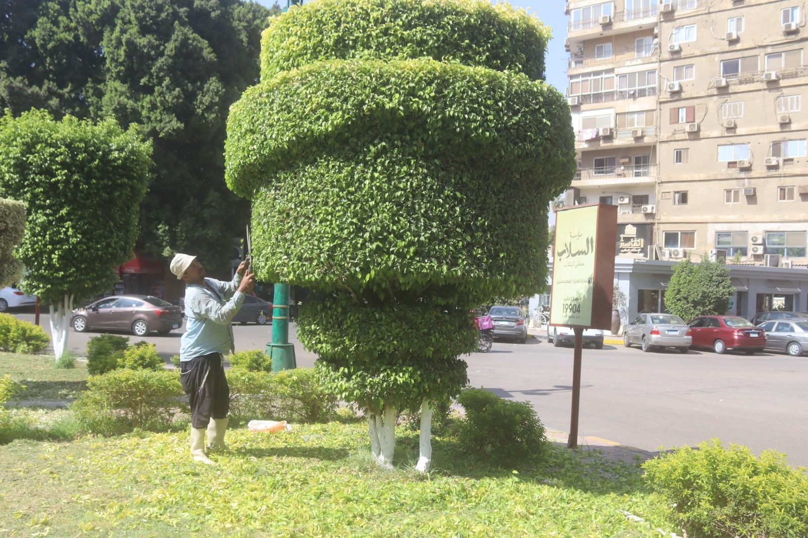زيادة المساحات الخضراء وتجميل الطرق والميادين بالدقي والعجوزة والعمرانية وجنوب والمنيرة "صور"