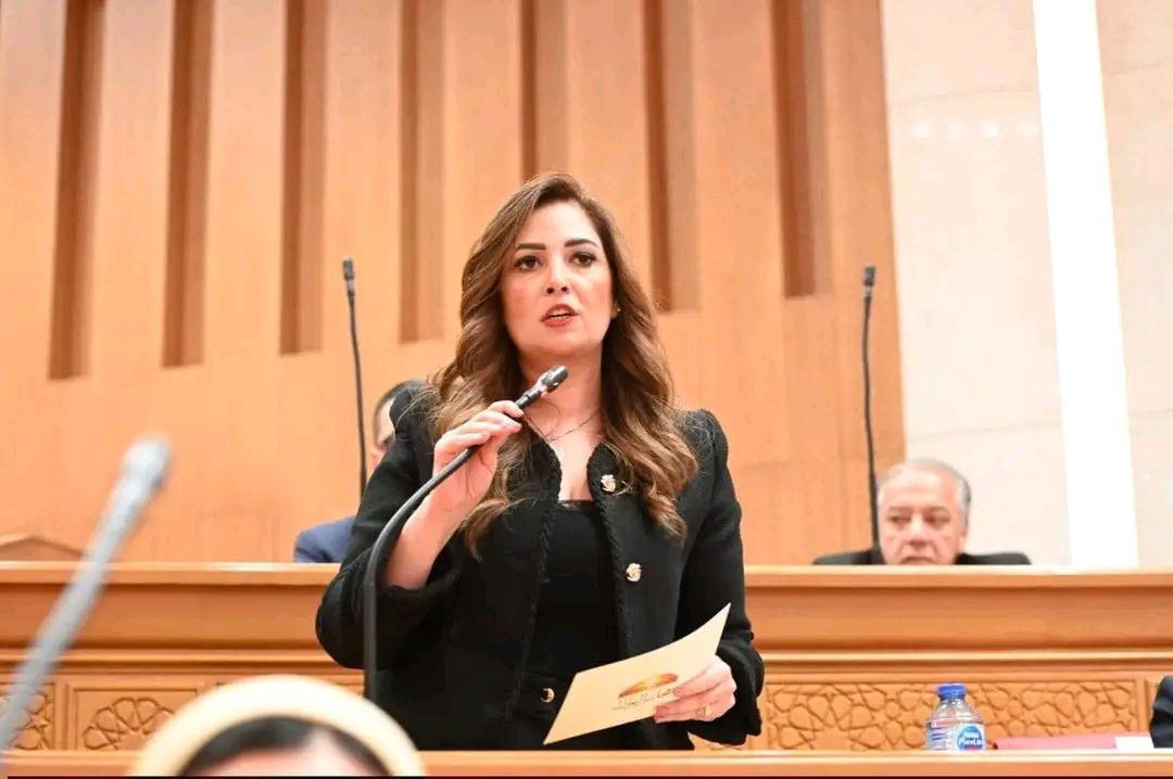 النائبة أميرة العادلي
