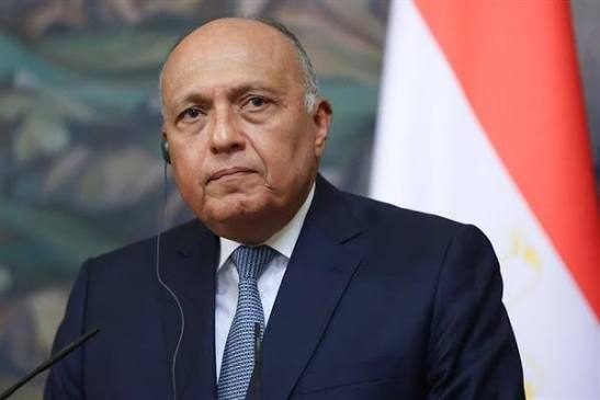 النائب سامح شكري