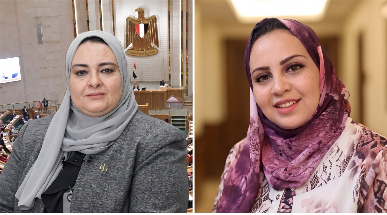 النائبة أماني أبو سحلي وبديلها