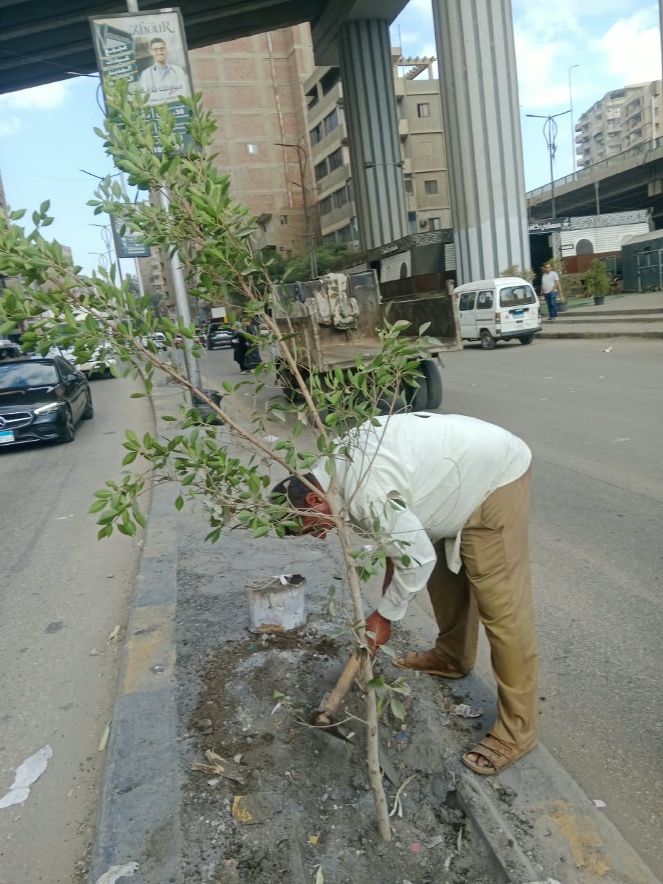 تشجير وزراعة نباتات مزهرة في شارعي اللبيني وترسا بالجيزة " صور"