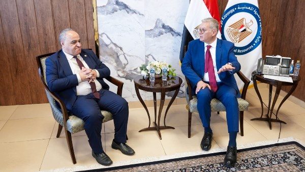 المهندس كريم بدوي