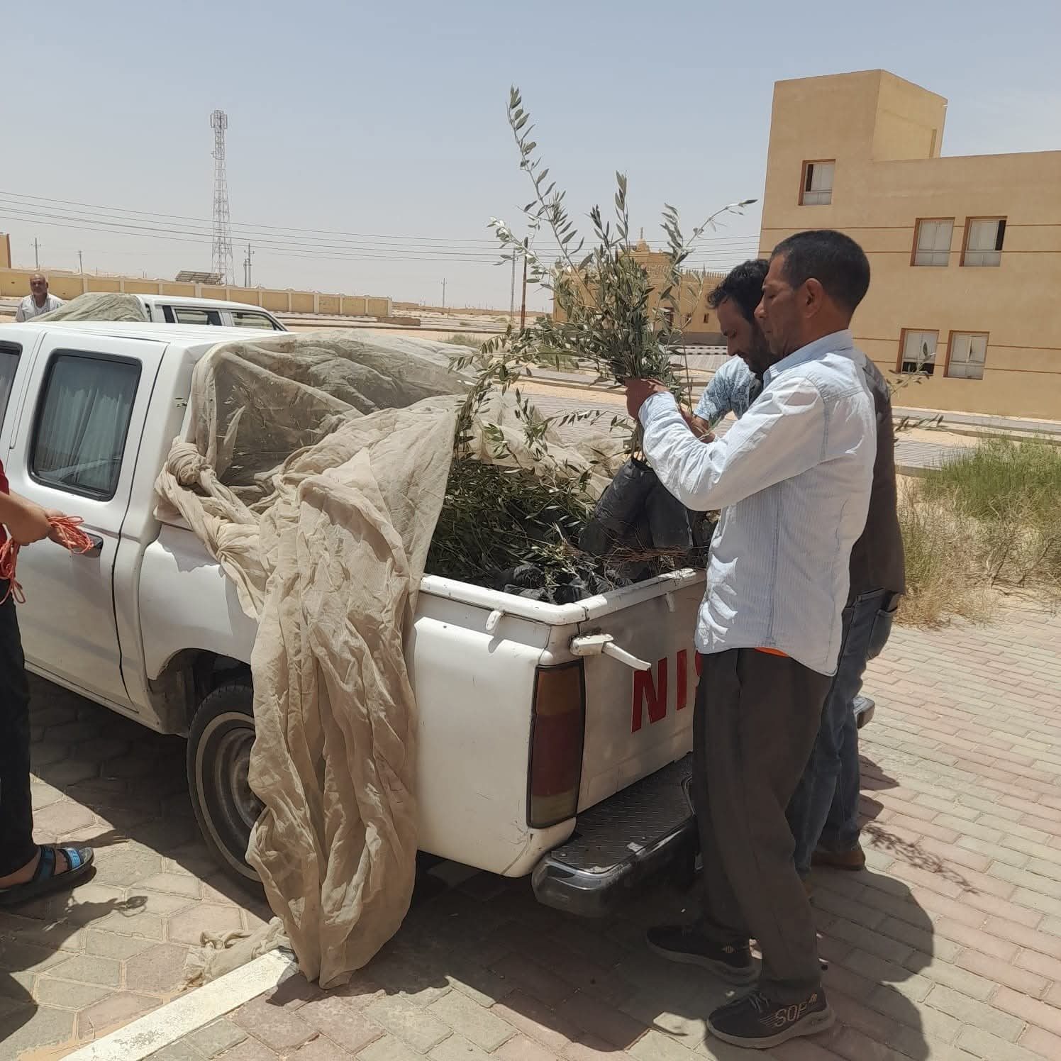 محافظ جنوب سيناء