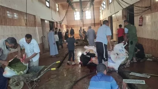 محافظة الدقهلية تستعد لعيد الأضحى المبارك