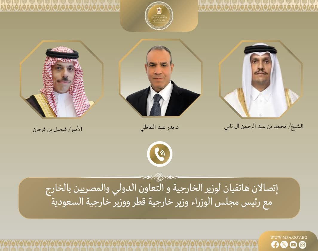 وزير الخارجية: أمن الخليج ركيزة أساسية للأمن القومي المصري والعربي