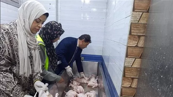 الصراصير في كل مكان.. إحباط ترويج 101 كيلو لحوم ودواجن فاسدة داخل مطعم بالأقصر