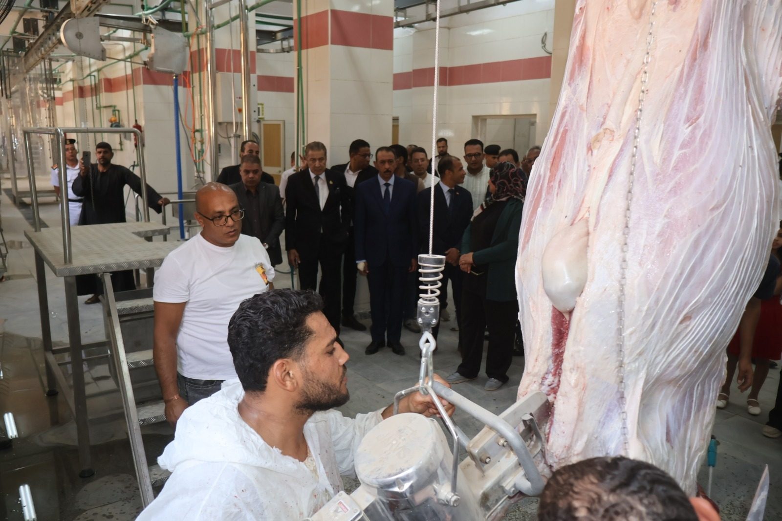 مشروع تطوير مجزر سوهاج