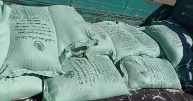 ضبط 5 أطنان دقيق مدعم وسياحي في 24 ساعة