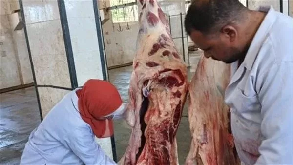 توزيع لحوم الأضاحي بسوهاج