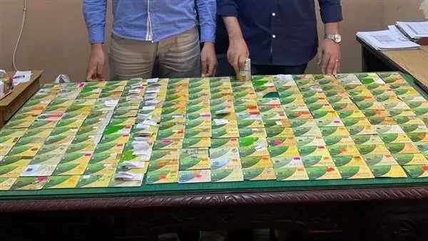 حملات رقابية مكثفة بالإسكندرية
