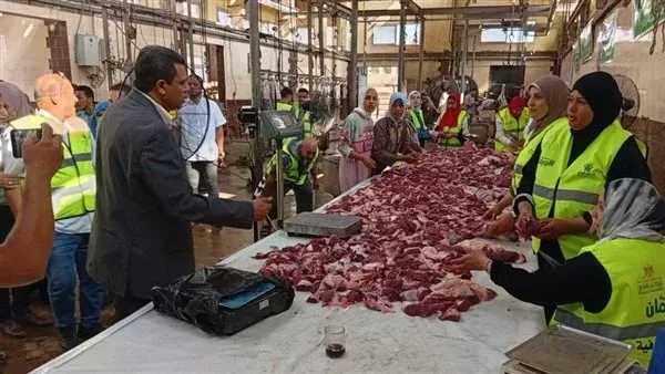 المجزر الآلي  يالمنوفية