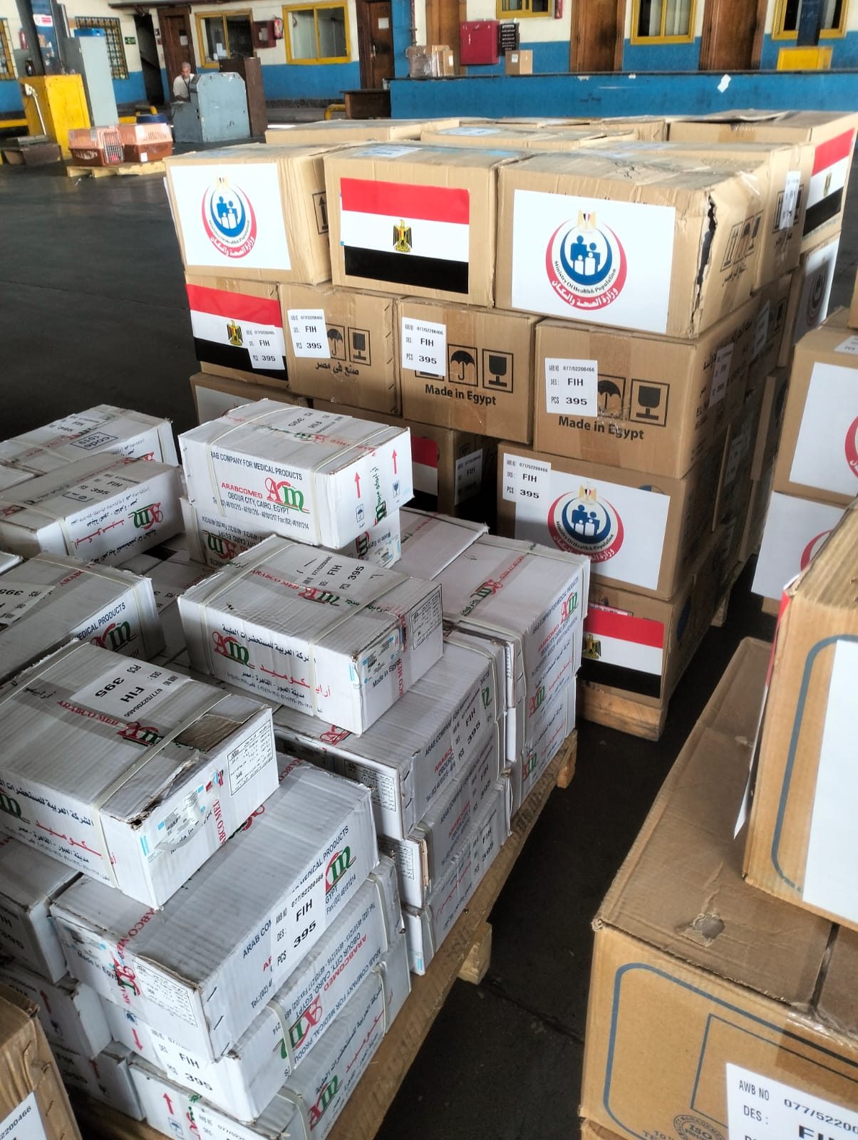 مصر ترسل شحنة أدوية