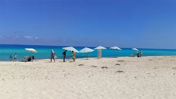 محافظة الإسكندرية