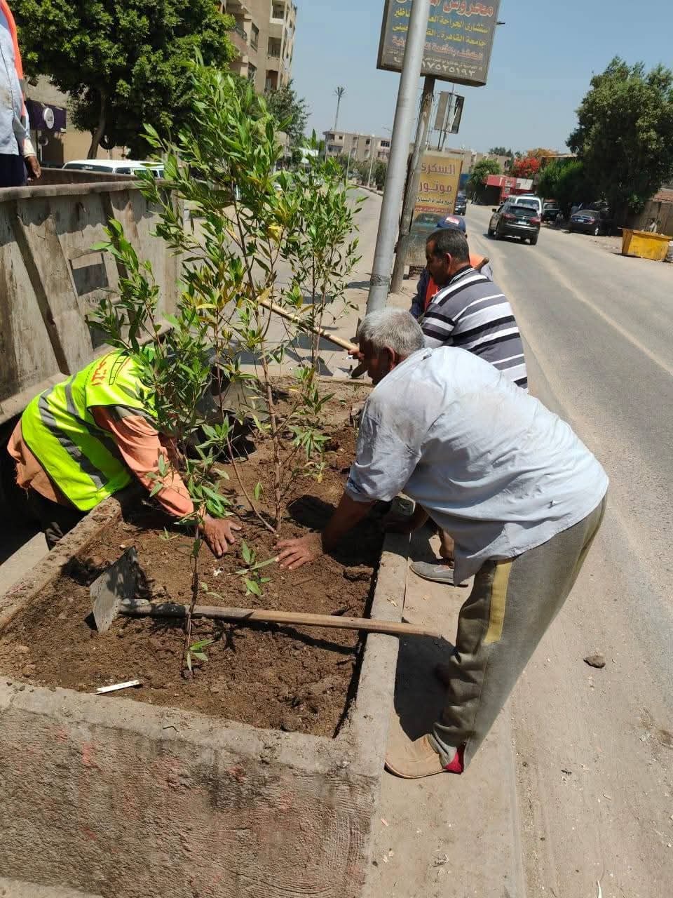 مبادرة ازرع شجرة