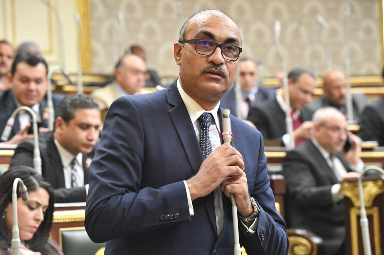 النائب