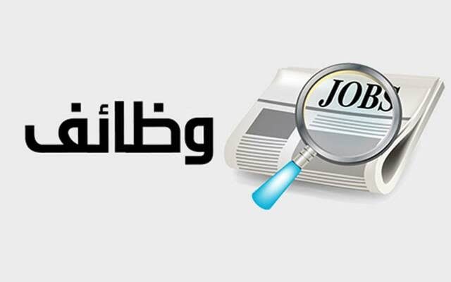 وظائف خالية في عدد من المحافظات برواتب مجزية وتأمين.. اعرف الشروط وطريقة التقديم