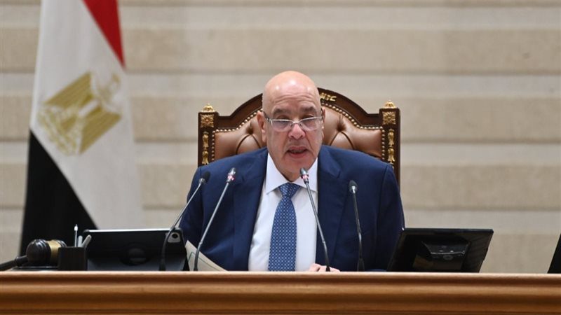 المستشار هشام بدوي، رئيس مجلس النواب