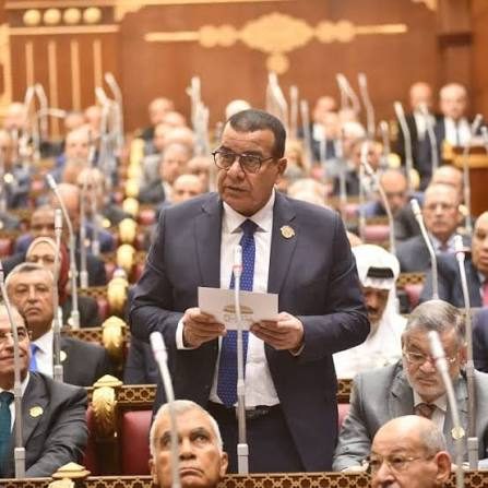 النائب محمود مرجان