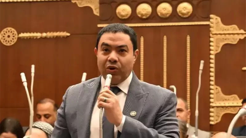 النائب إسماعيل الشرقاوي
