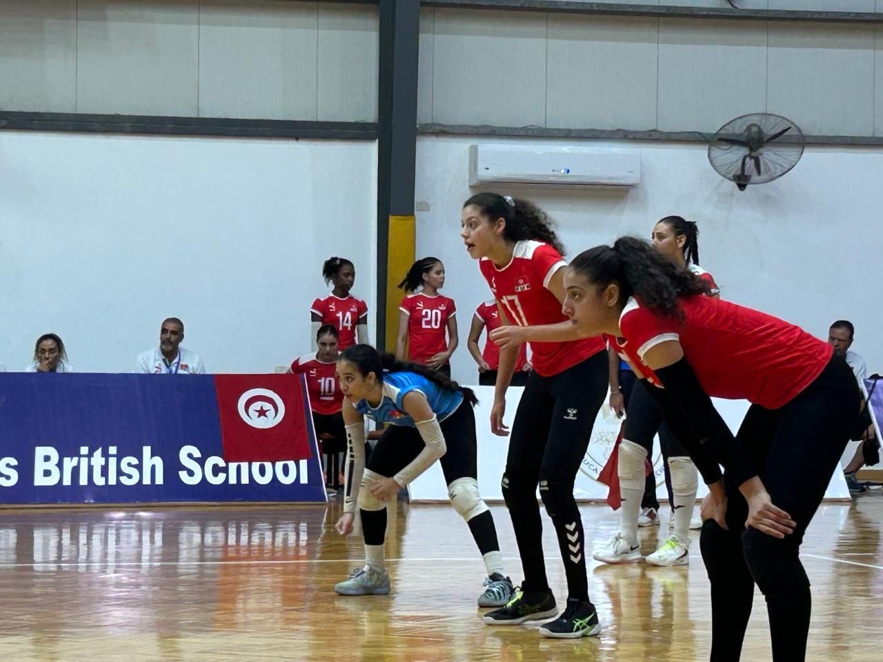 منتخب تونس