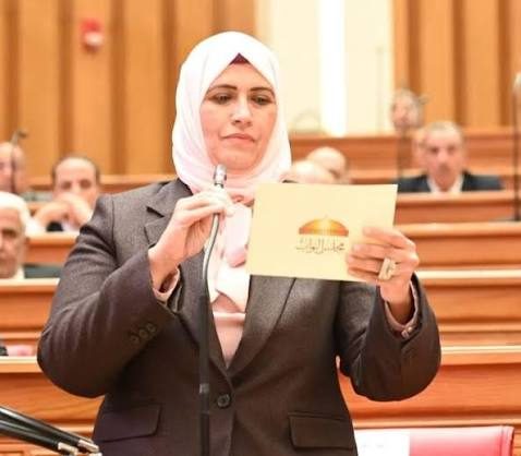 النائبة مروة هاشم