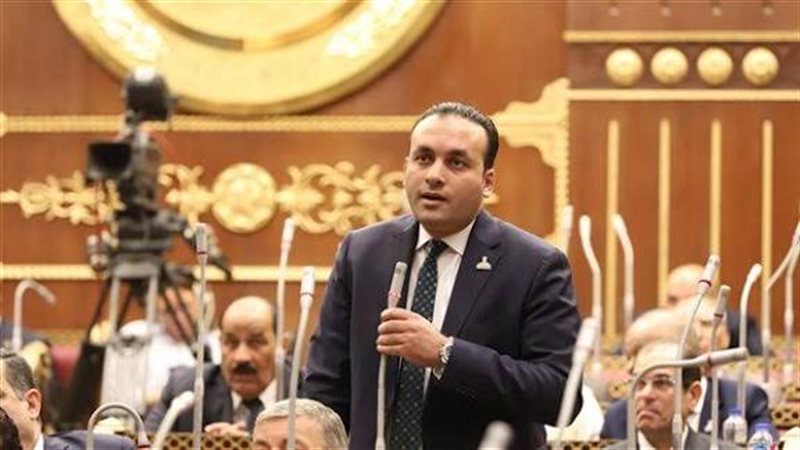 النائب عمرو فهمي