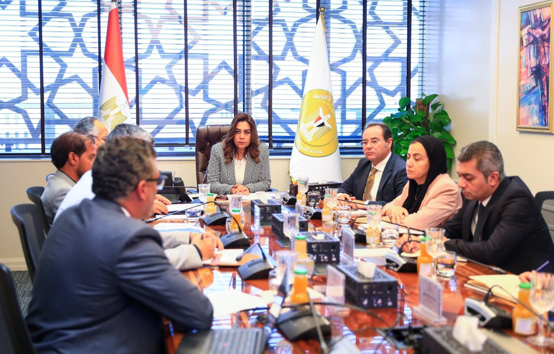 وزارة التنمية المحلية