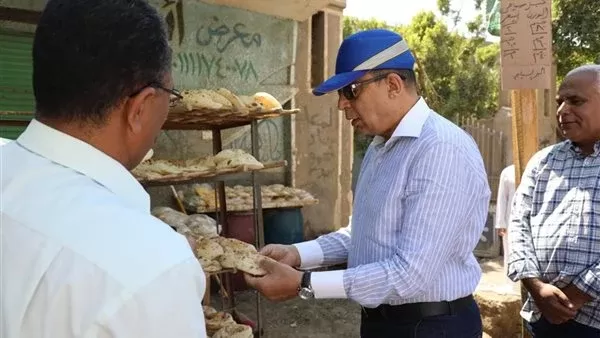 محافظ المنيا