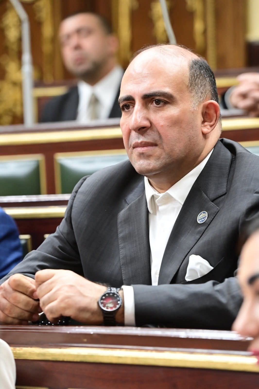 النائب محمد سليم