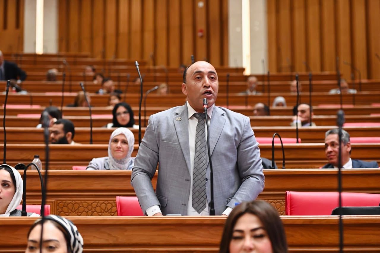 النائب حسام حسن