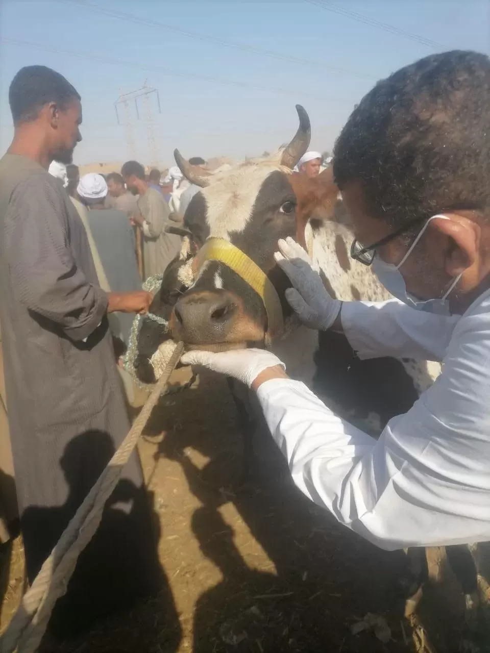 جولة تفتيشية موسعة