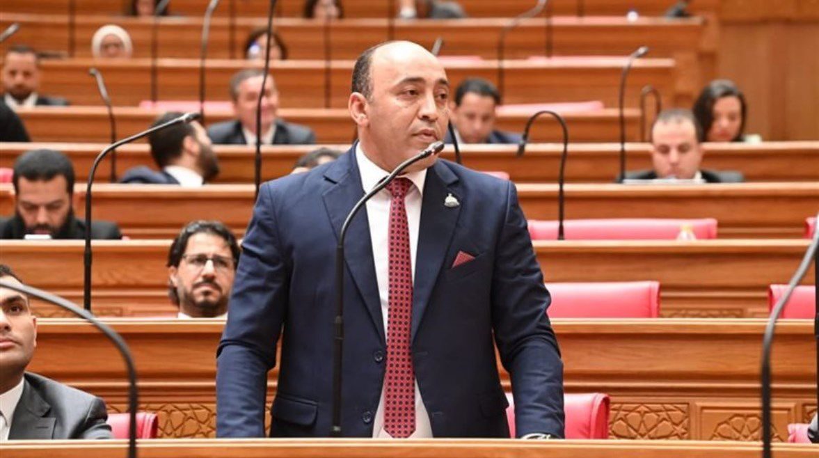 النائب حسام حسن