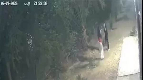 الضحيتين