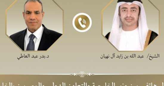 أمن وحرية الملاحة الدولية.. وزير الخارجية ونظيره الإماراتي يبحثان مستجدات الأوضاع الإقليمية
