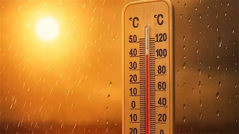 شبورة مائية وفرص أمطار ورياح واضطراب بالملاحة.. العظمى بالقاهرة اليوم 32 درجة