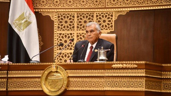 المستشار عصام الدين فريد