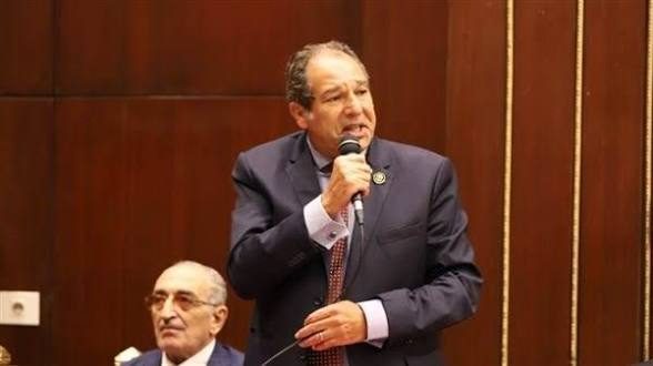النائب حسام الخولي