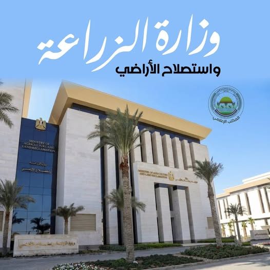 الزراعة تعلن الانتهاء من حصاد 60% من محصول الأرز وتدوير 610 ألف طن قش لمواجهة "السحابة السوداء"