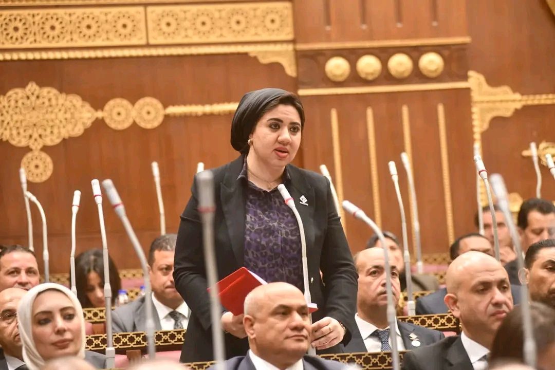 النائبة أميرة صابر