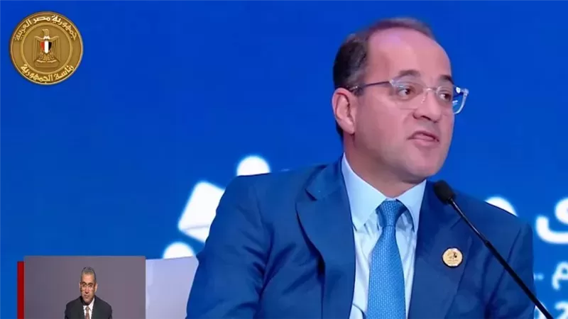 أحمد كجوك، وزير المالية