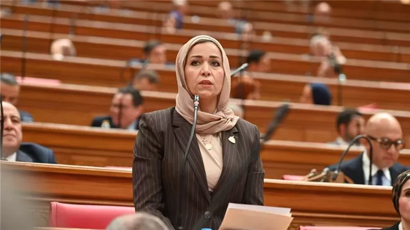 النائبة نجوي الألفي
